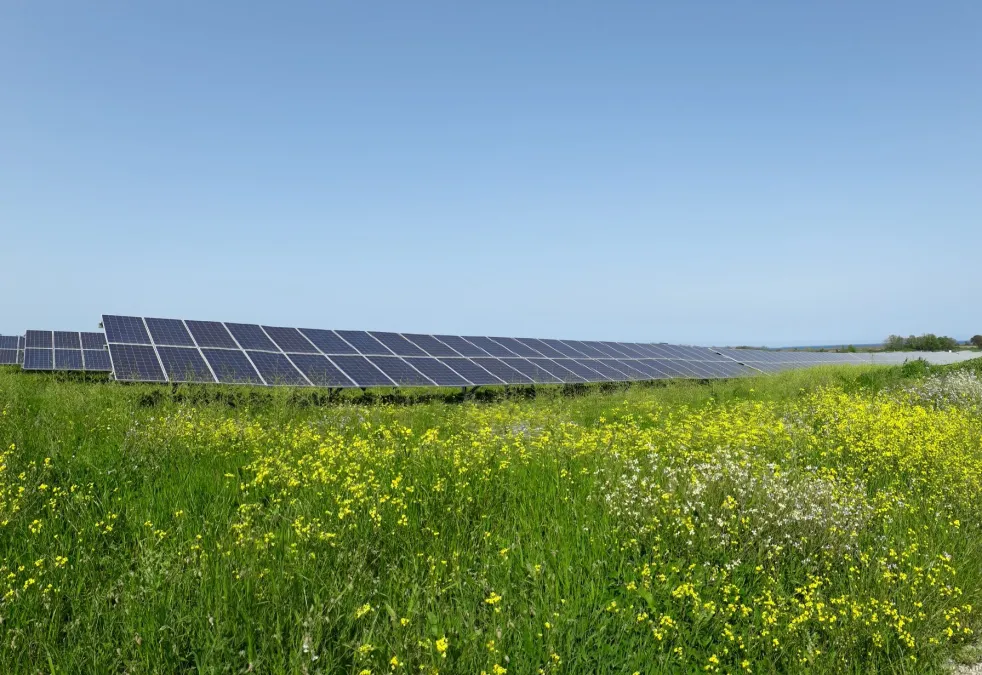 Corsica Sole exploite 100 MWc de puissance solaire. ©Corsica Sole