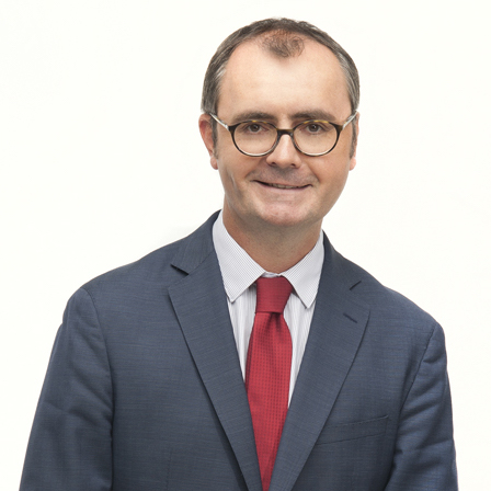 Mathieu Le Tacon, Delsol Avocats