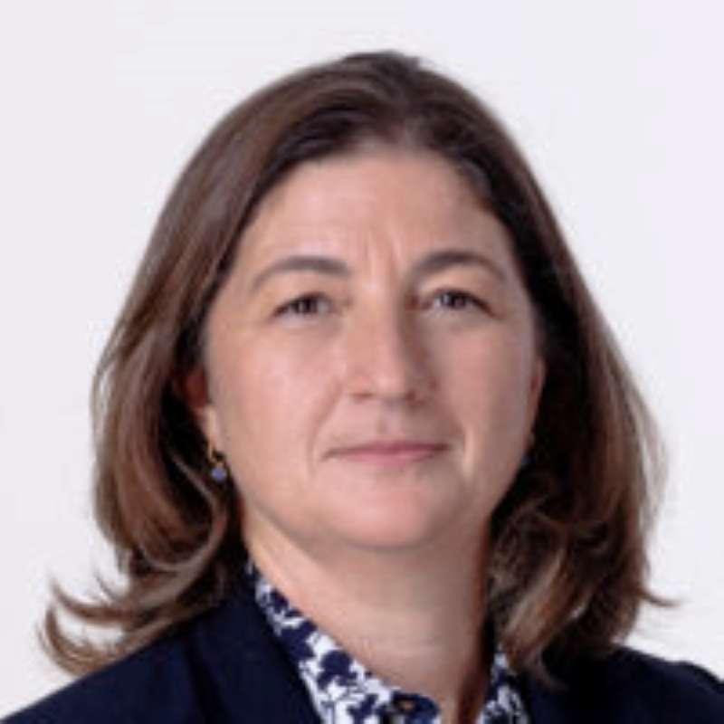 Danielle Smolders, De Gaulle Fleurance & Associés