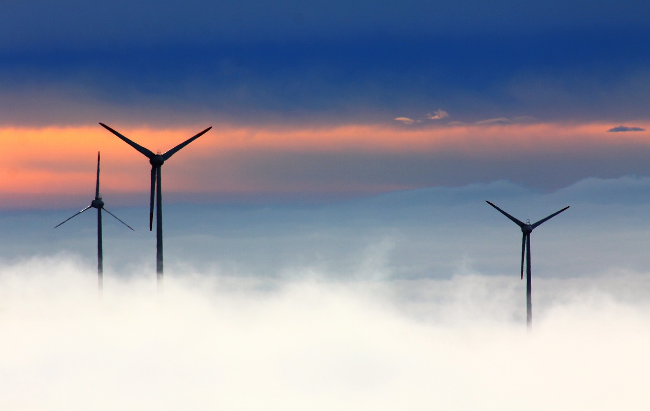 TagEnergy a été fondé en 2019 par deux anciens de Neoen. ©Creative Commons Licence