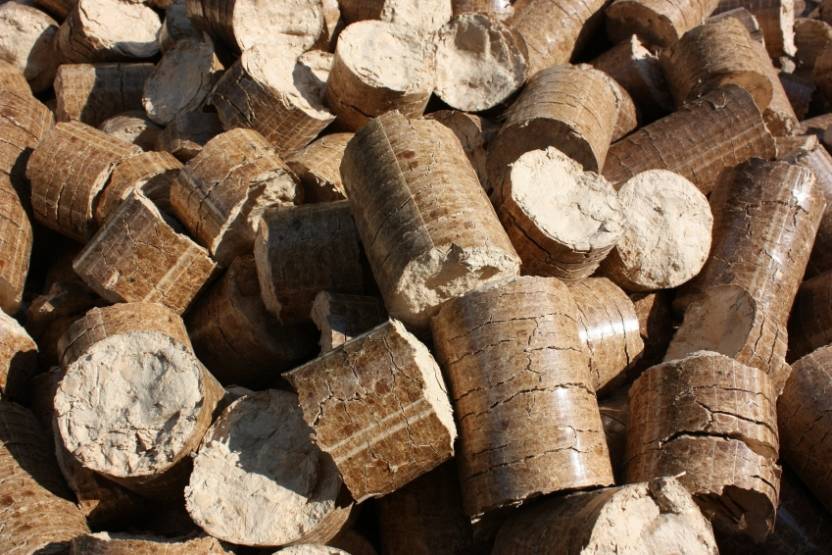 La future centrale de biomasse développée par Meridiam produira notamment des pellets de bois.
