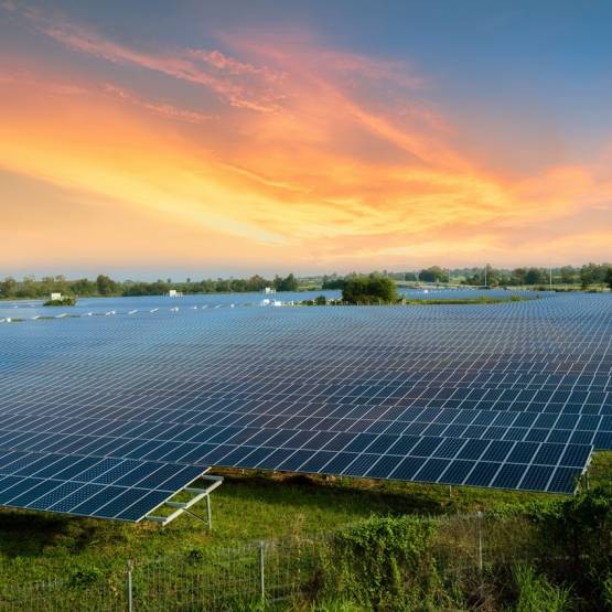 Belltown Power se spécialise dans le développement de nouveaux projets solaires photovoltaïques et de stockage d'énergie ©Belltown Power