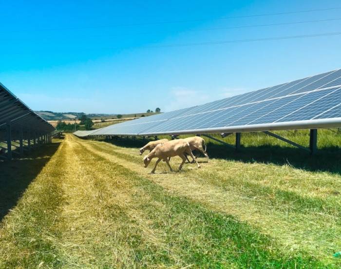 Les panneaux solaires attirent les investisseurs en énergies renouvelables.