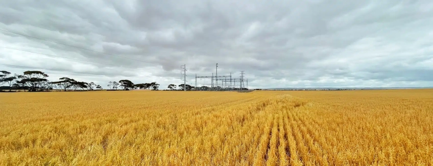 Le projet de Blyth Battery, actuellement en construction en Australie-Méridionale. ©Neoen