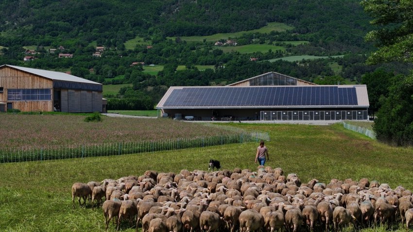 Terre et Lac développe notamment des installations dédiées à l'agrivoltaïsme. ©Terre et Lac