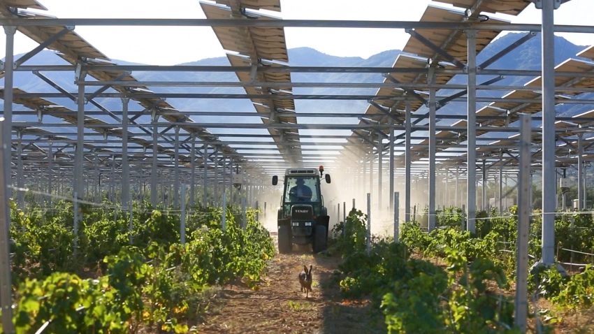 Sun'Agri développe notamment des algorithmes afin d'optimiser le bien-être des plantes et l’orientation des persiennes solaires. ©Sun'Agri