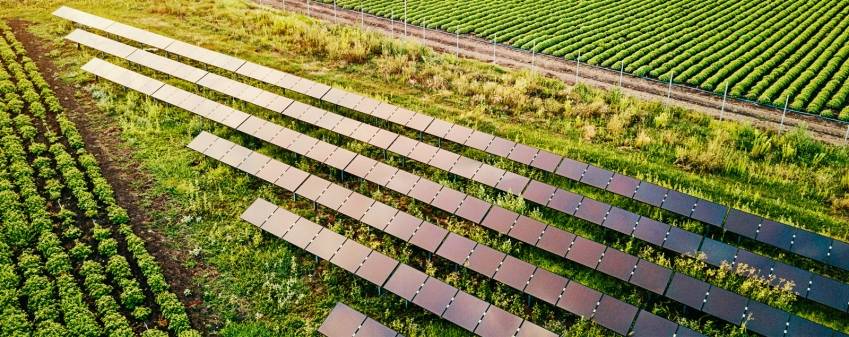 Des ombrières photovoltaïques dans un champs. © DR
