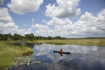 Voltalia s'installe en Guyane.