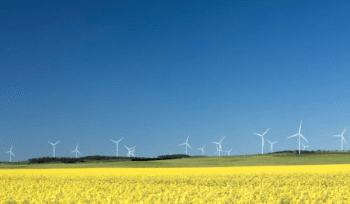Parc éolien Hornsdale I Australie Neoen  