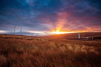 Le parc de Kype Muir, en Écosse. © Banks Renewables