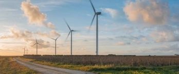 Le parc Vento di Vino 1. ©Fabbrica Energie Rinnovabili Alternative