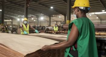 ARISE IIP
