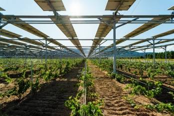 Le projet de Sun'Agri à Piolenc dans le Vaucluse. © Sun'Agri