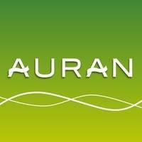 SOCIETE NOUVELLE DES TRANSPORTS AURAN (SNTA)