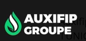 AUXIFIP GROUPE