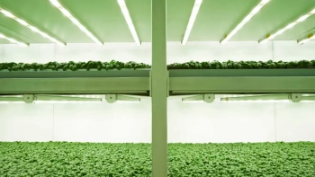 © Planet Farms