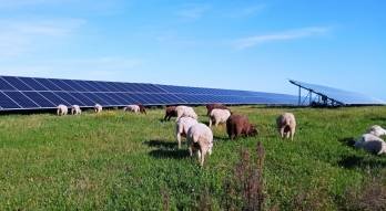 ©Hyperion Renewables