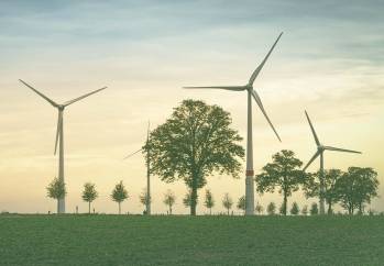 ©Creative Commons Licence