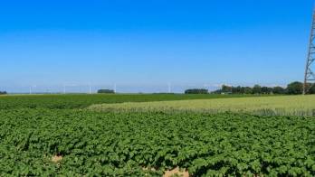 Le parc éolien développé par Valorem à Longueil. 