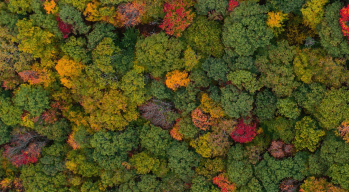 Les investissements du Solas Sustainable Energy généreront des économies d'énergie d'environ 600 GWh par an. ©Solas Capital 