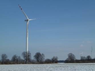 Les parcs de Tychowo et Kukinia se situent dans le nord de la Pologne. ©Marguerite