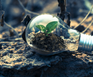 La transaction est l'un des plus importants investissements de décarbonation industrielle en Inde à ce jour. ©Serentica Renewables