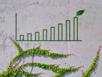 © Adobe Photo Stock