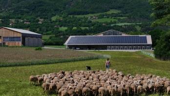 Terre et Lac développe notamment des installations dédiées à l'agrivoltaïsme. ©Terre et Lac