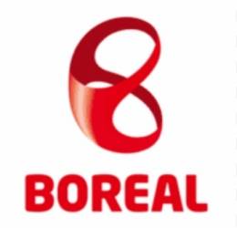 BOREAL HOLDINGS AS