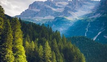 ©Creative Commons Licence