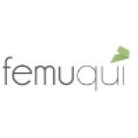 FEMUQUI VENTURES