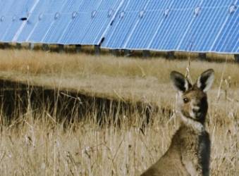 Neoen exploite 3,75 GW d’actifs en opération ou en construction dans le Down Under. ©Neoen