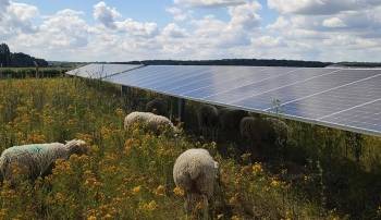 Ce financement va permettre à Valorem d'accélérer le développement de ses projets tricolores. ©Valorem 