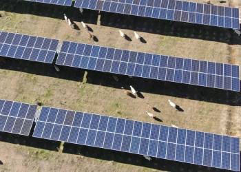 Les projets portés par Solaria et financés par La Banque Postale. 