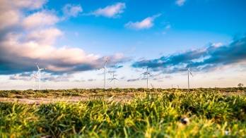Champ d'éoliennes Champ d'éoliennes