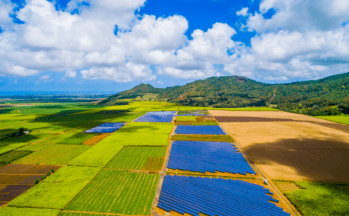 Les parcs Anahita et Queen Victoria sur l'Île Maurice, portés par le groupe Qair. © DR